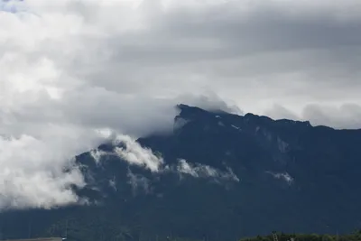 DSC_6245 (Large).JPG